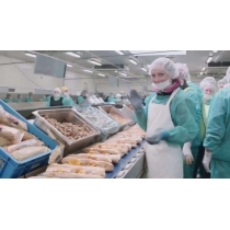 Робота в Словаччині на хлібокомбінаті,  зарплата 1200 Євро на місяць